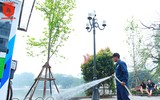 Ngỡ ngàng hàng phong trổ lá xanh mướt bên hồ Hoàn Kiếm